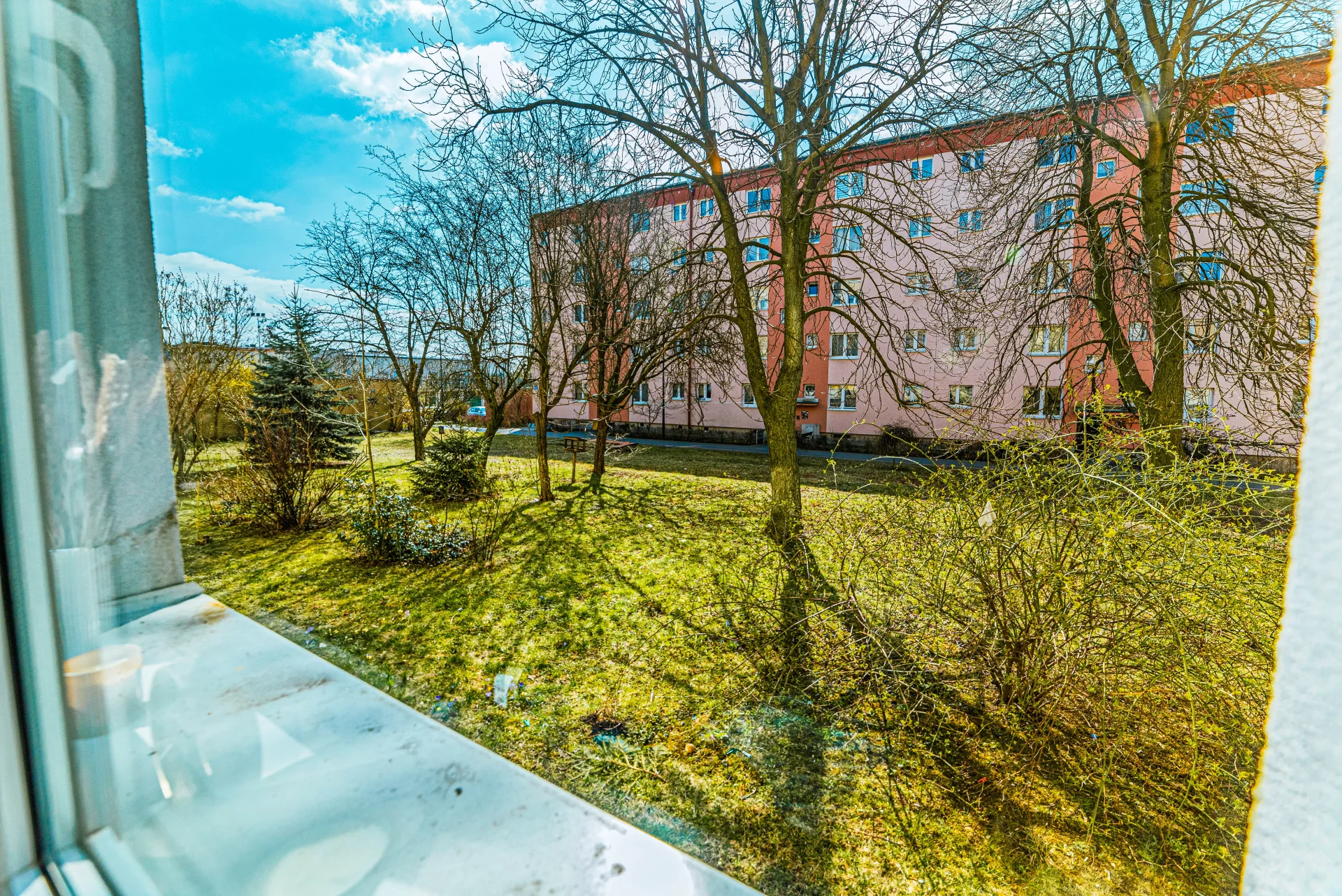 Miniatura zdjęcia 1