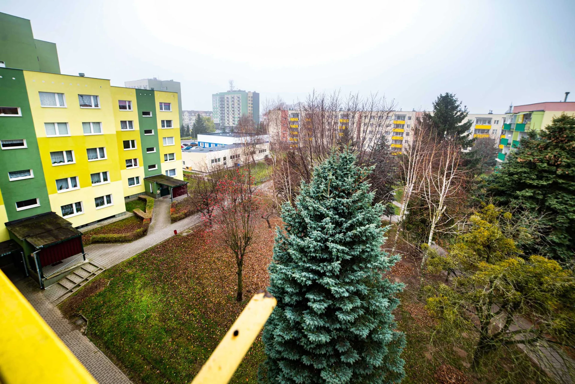 Miniatura zdjęcia 1