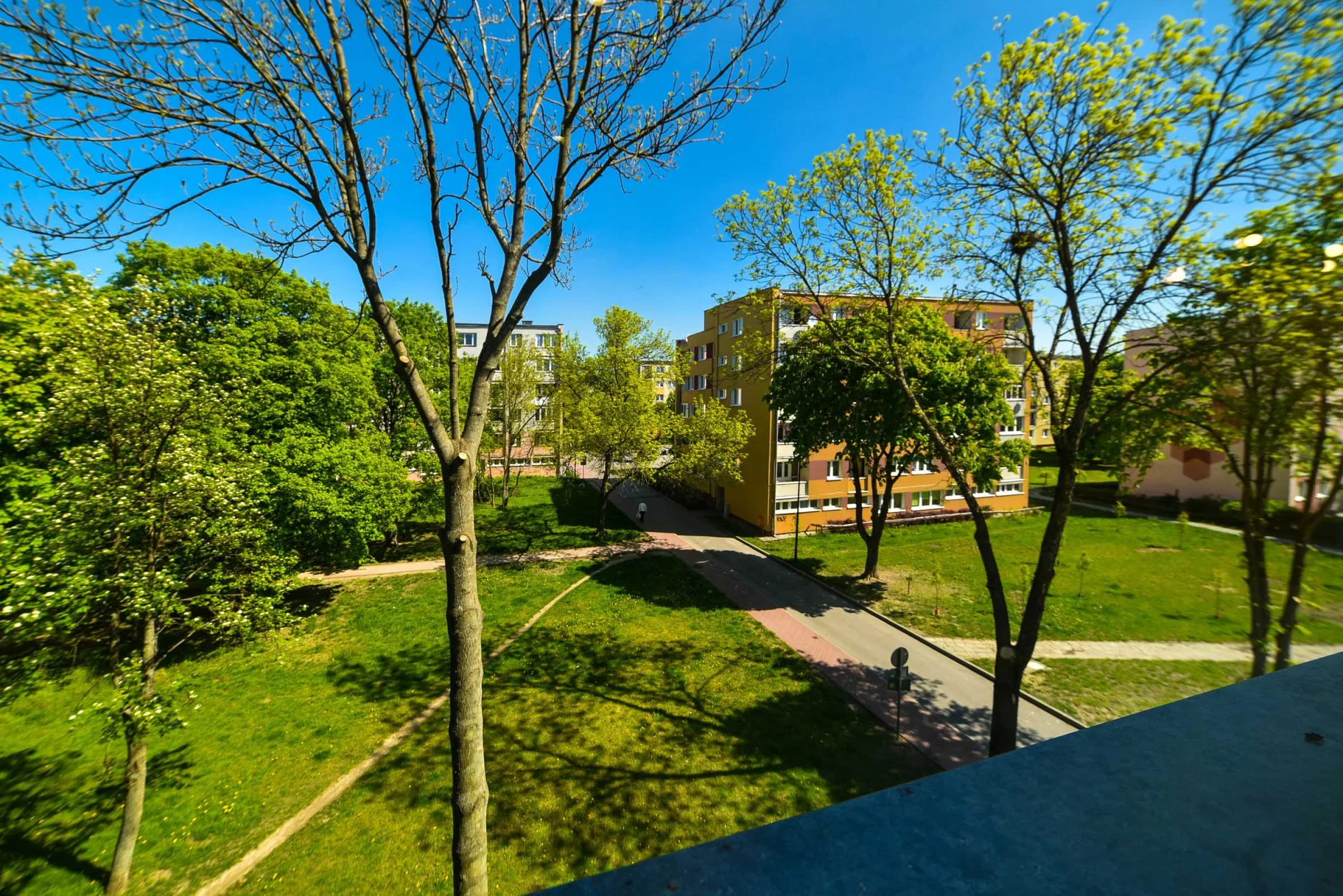 Miniatura zdjęcia 1