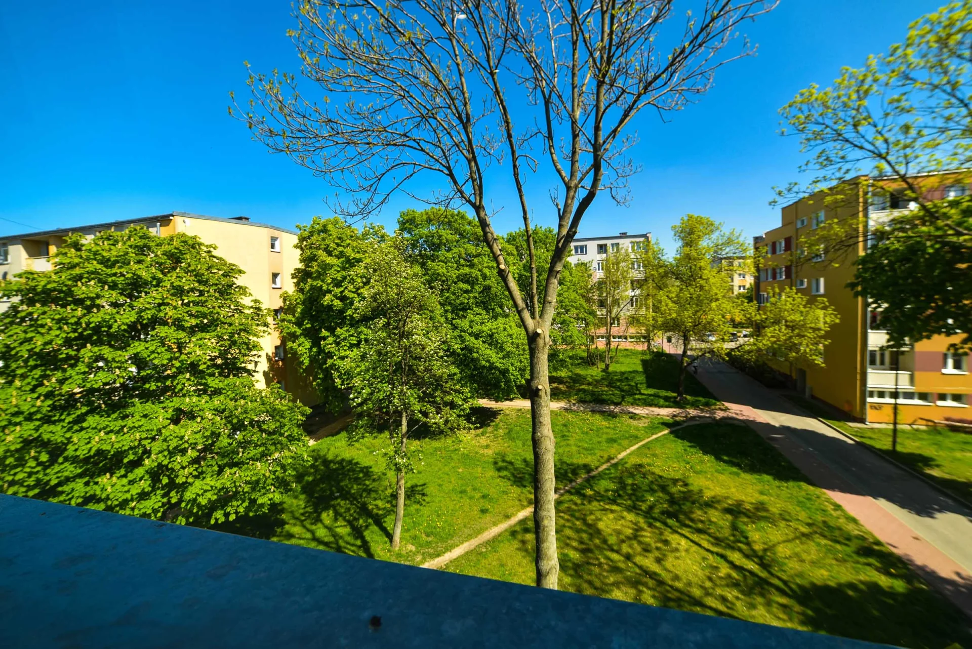 Miniatura zdjęcia 1