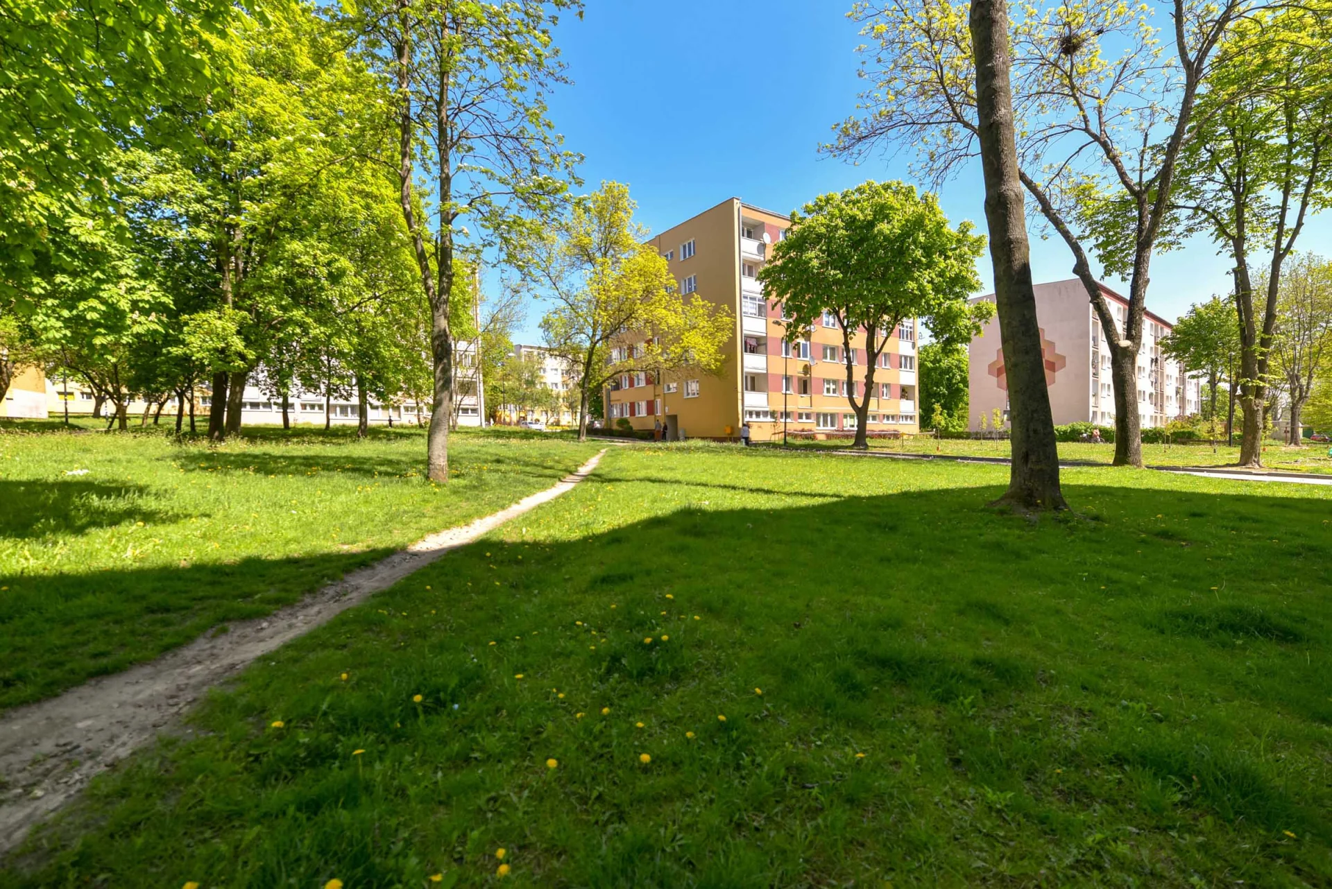 Miniatura zdjęcia 1