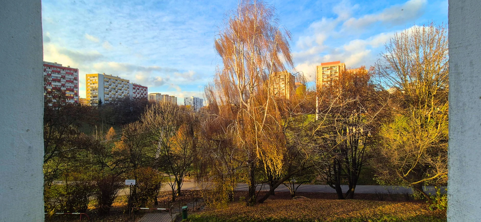 Miniatura zdjęcia 1